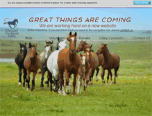 Tablet Screenshot of horsesthatheal.org